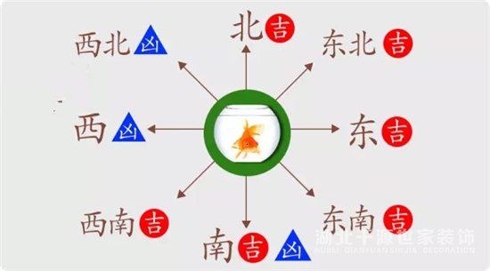 應避免養(yǎng)魚的方向