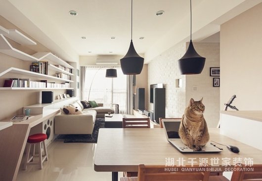 家里養(yǎng)貓?jiān)趺囱b修?三招教你打造貓樂(lè)園 讓貓主子輕松來(lái)去！【宜昌裝修】
