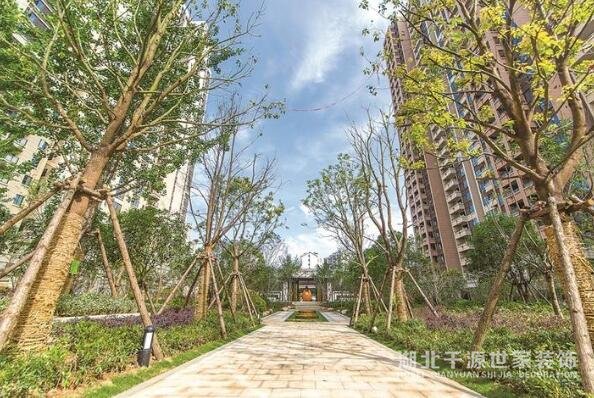 【宜昌裝修新聞】中建·宜昌之星榮獲全國房地產(chǎn)綜合開發(fā)行業(yè)最高榮譽(yù)“廣廈獎”