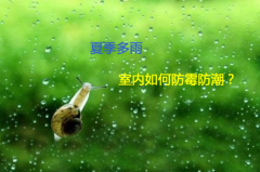 【宜昌裝修】夏天要如何做好家具防潮？ 